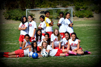 2014 EAA MSV Girls Soccer